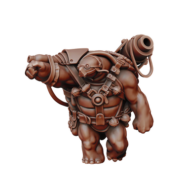 Tortle Bundle